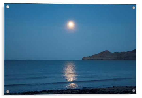 Runswick Bay Moonlight Acrylic by Kris Armitage