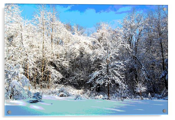 Winters Delight Acrylic by james balzano, jr.