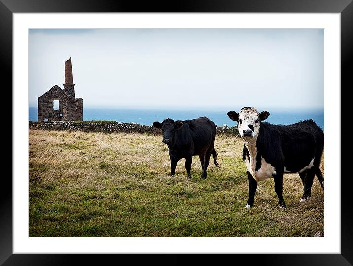 CORNISH TIN MINE AND COWS Framed Mounted Print by Anthony R Dudley (LRPS)