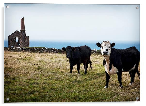CORNISH TIN MINE AND COWS Acrylic by Anthony R Dudley (LRPS)