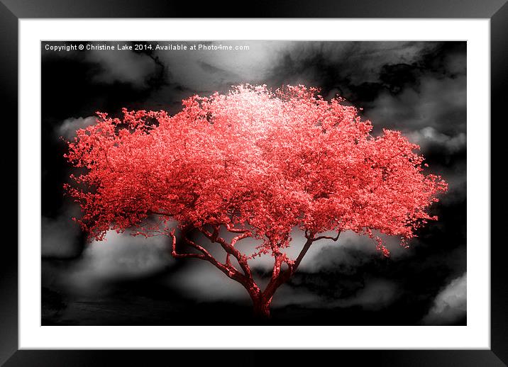 Autumn Red Framed Mounted Print by Christine Lake