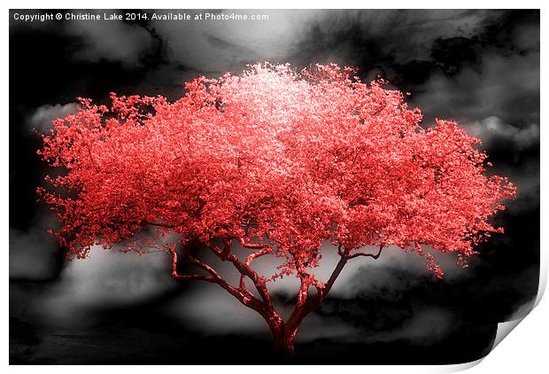 Autumn Red Print by Christine Lake