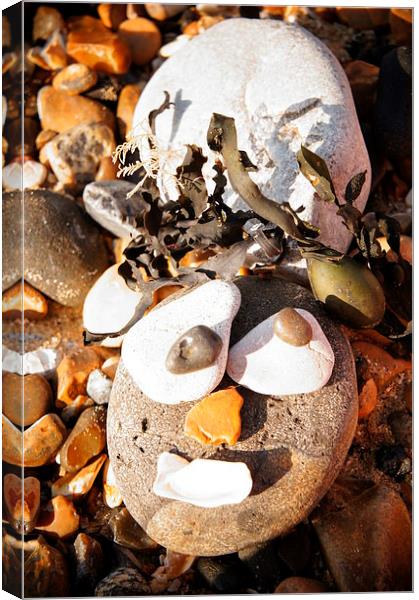 Funny Pebble Face Canvas Print by Amy Lawson
