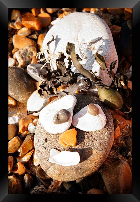 Funny Pebble Face Framed Print by Amy Lawson