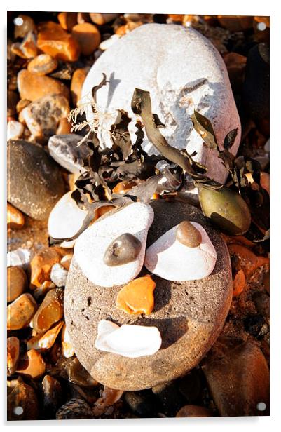 Funny Pebble Face Acrylic by Amy Lawson