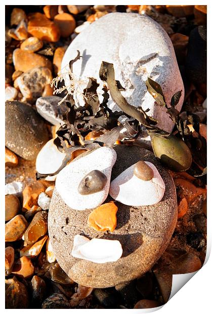 Funny Pebble Face Print by Amy Lawson