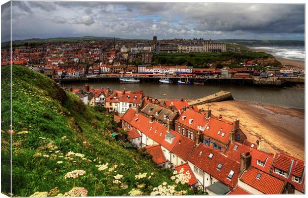 Whitby from the East Cliff Canvas Print by Tom Gomez