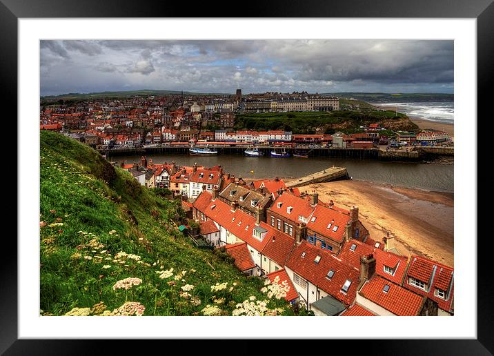 Whitby from the East Cliff Framed Mounted Print by Tom Gomez