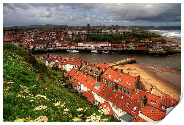 Whitby from the East Cliff Print by Tom Gomez
