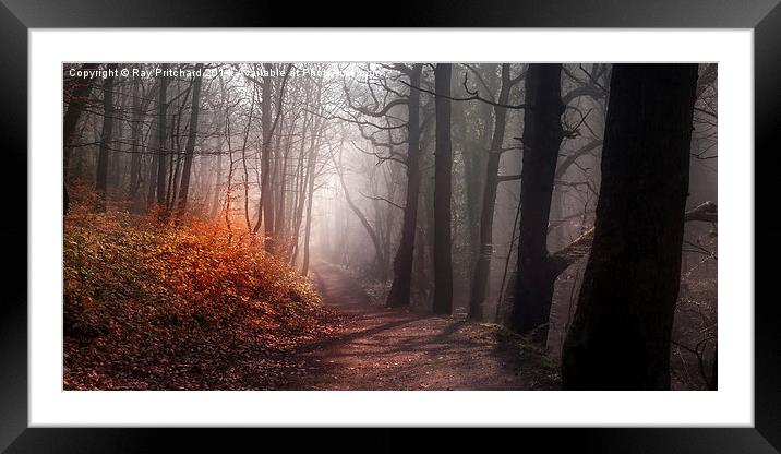 Woodland Walk Framed Mounted Print by Ray Pritchard
