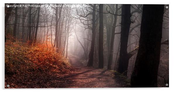 Woodland Walk Acrylic by Ray Pritchard