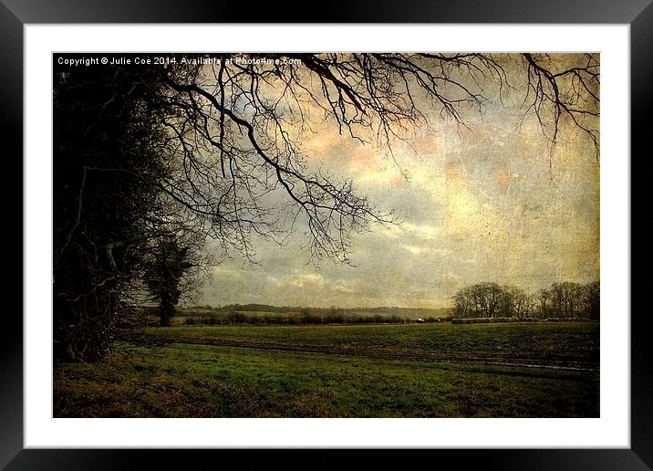 Field View Framed Mounted Print by Julie Coe