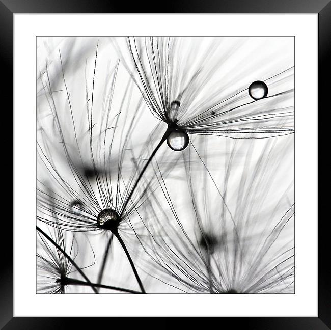 Art of drops Framed Print by Klara Memisevic
