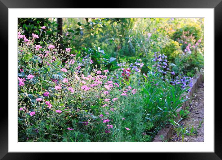 English Country Garden, Herts Framed Mounted Print by Sandra Beale