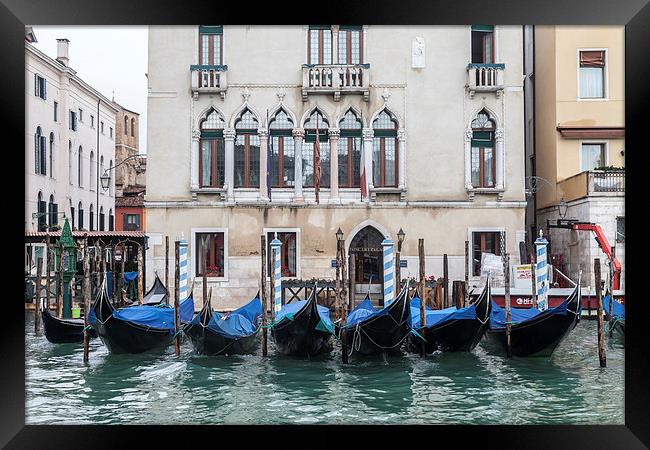 Gondolas Framed Print by Gail Johnson