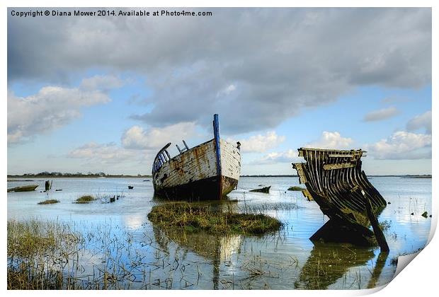 Wrecks Maldon Essex Print by Diana Mower