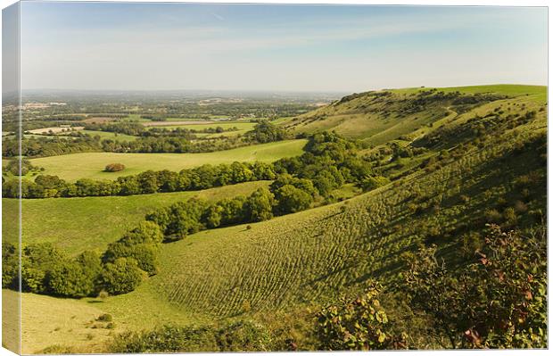 ditchling beacon Canvas Print by Eddie Howland