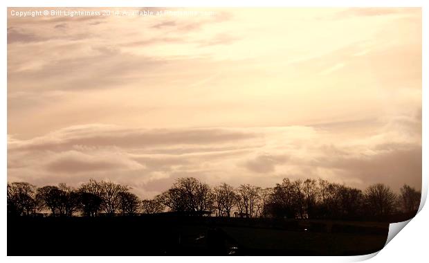 Bare Trees and a Lovely Sky Print by Bill Lighterness