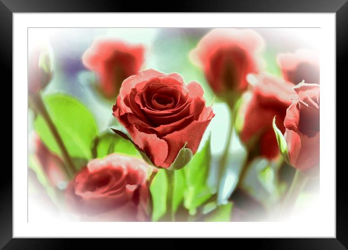 The Red Rose Framed Mounted Print by Ceri Jones