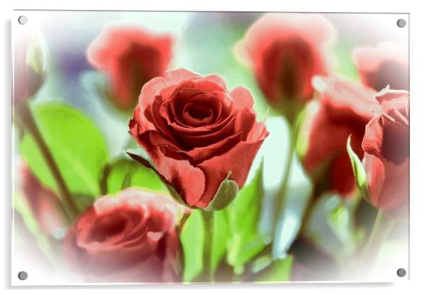 The Red Rose Acrylic by Ceri Jones