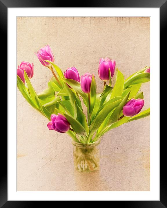 Spring Blooms Framed Mounted Print by Dawn Cox