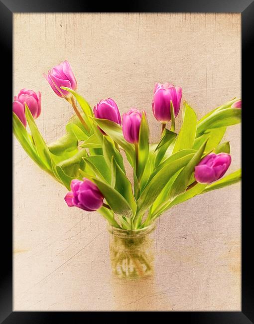 Spring Blooms Framed Print by Dawn Cox