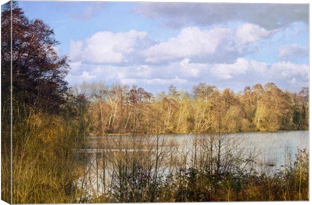 The Lake Canvas Print by Dawn Cox