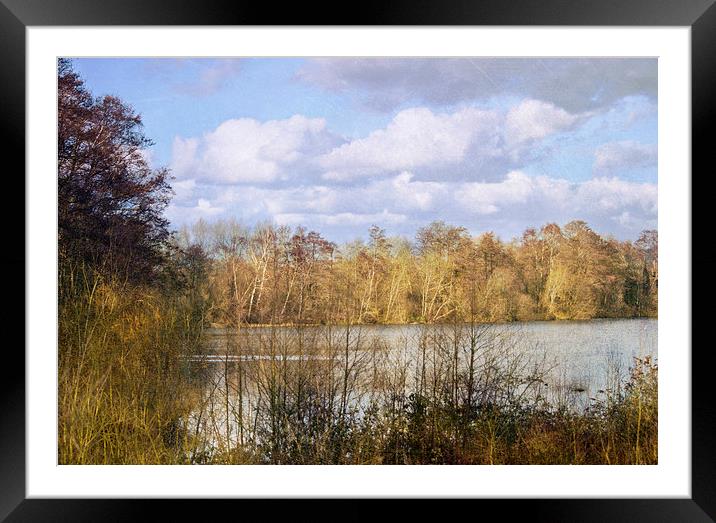 The Lake Framed Mounted Print by Dawn Cox