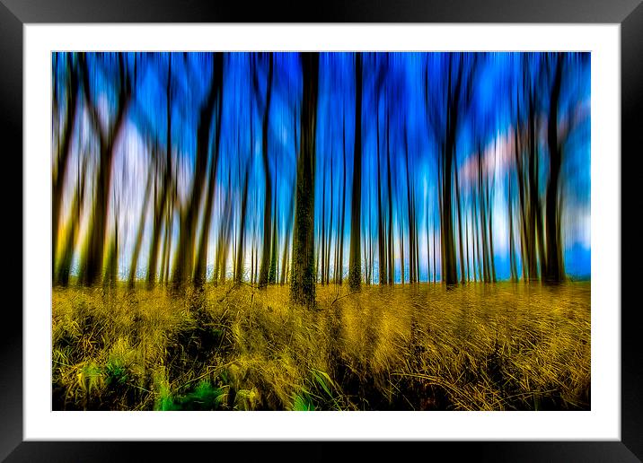 Dreamscape Framed Mounted Print by Mike Janik