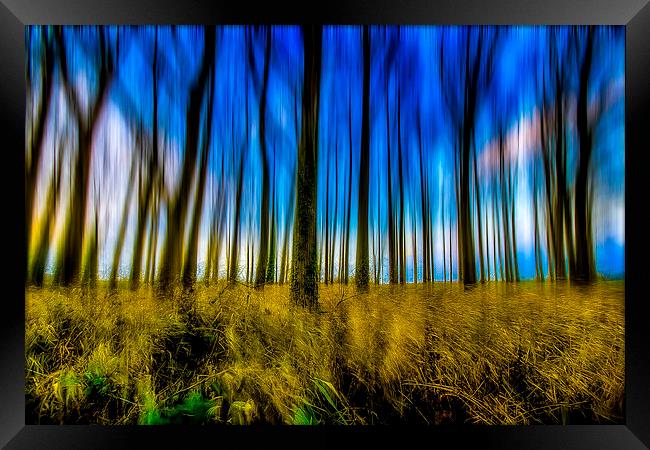 Dreamscape Framed Print by Mike Janik