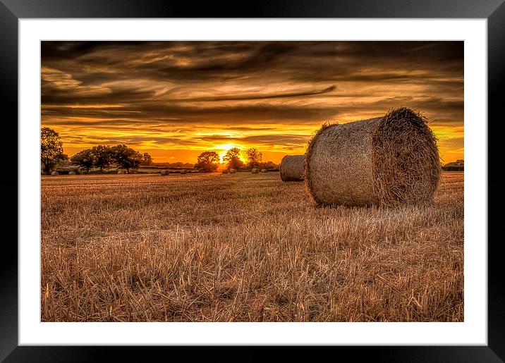 A Late Summer Framed Mounted Print by Mike Janik