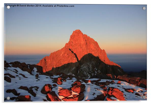 Mt Kenya at Sunrise Acrylic by David Morton