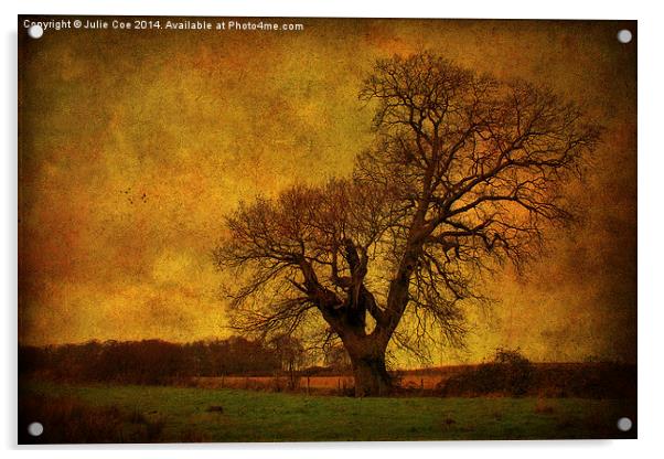 Tree In A Field! Acrylic by Julie Coe
