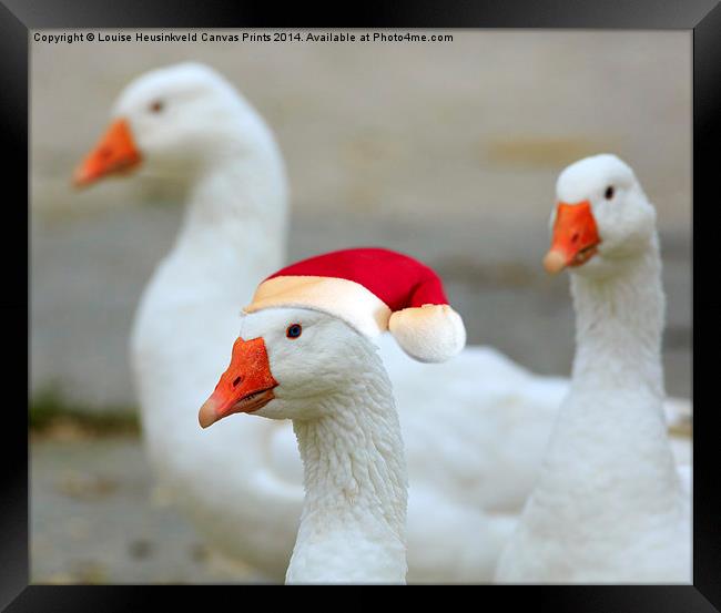 Three Geese Framed Print by Louise Heusinkveld