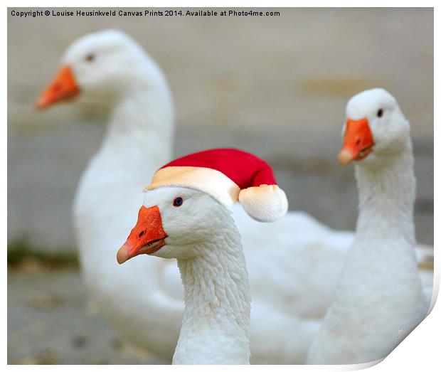 Three Geese Print by Louise Heusinkveld