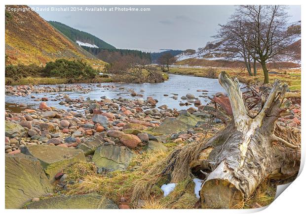 River Breamish and Breamish Valley in Northumberla Print by David Birchall