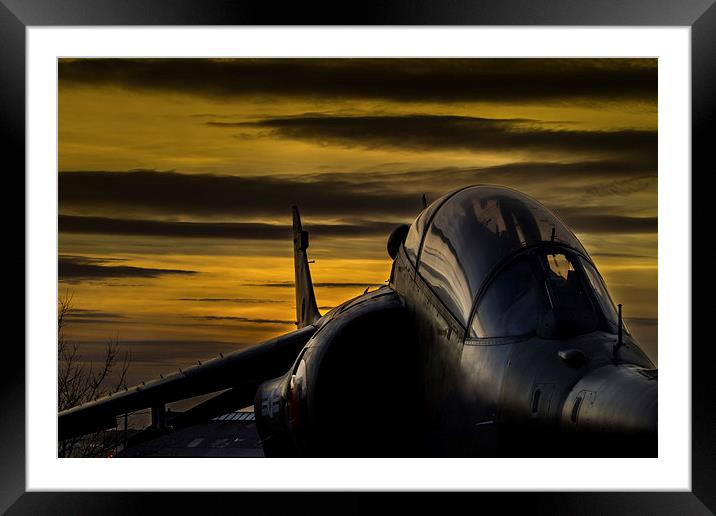 Harrier at Sunset Framed Mounted Print by Oxon Images
