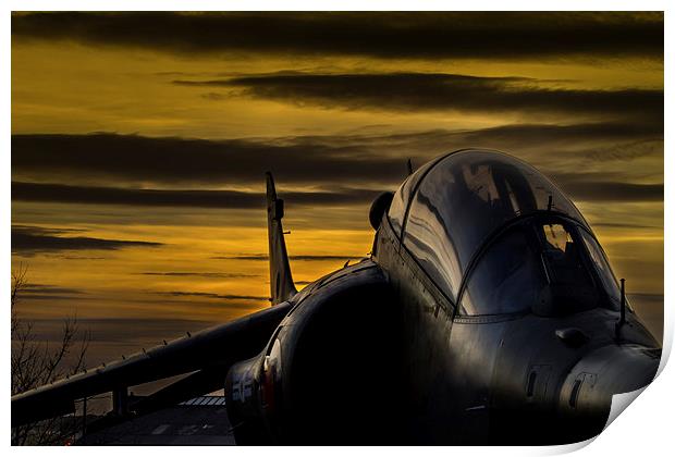 Harrier at Sunset Print by Oxon Images