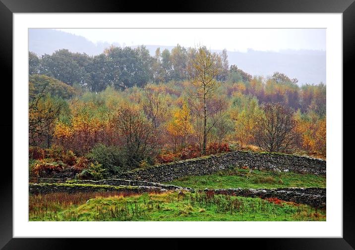 Autumn Lake District scene Framed Mounted Print by Ceri Jones