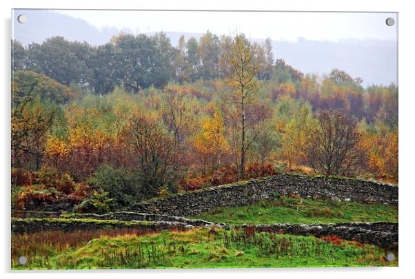 Autumn Lake District scene Acrylic by Ceri Jones