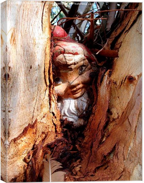 Gnome hide and seek Canvas Print by Gwion Healy