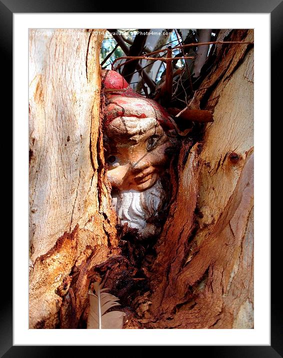 Gnome hide and seek Framed Mounted Print by Gwion Healy