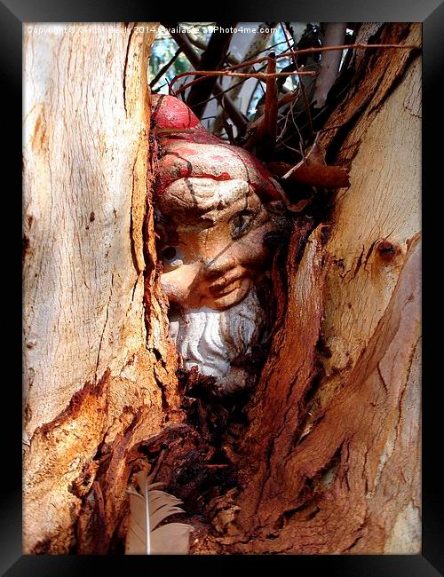 Gnome hide and seek Framed Print by Gwion Healy