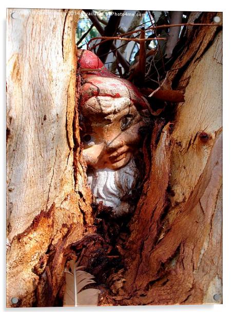 Gnome hide and seek Acrylic by Gwion Healy