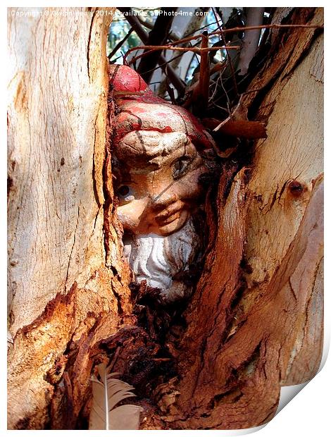Gnome hide and seek Print by Gwion Healy