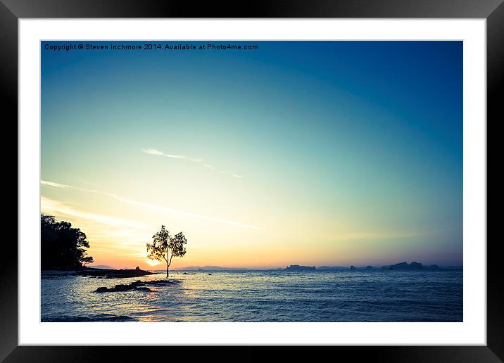 Tree in the Sea Framed Mounted Print by Steven Inchmore