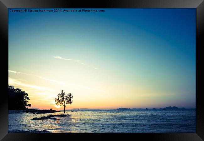 Tree in the Sea Framed Print by Steven Inchmore