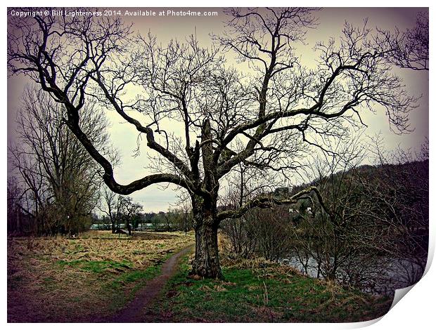 Moody tree by the River Print by Bill Lighterness