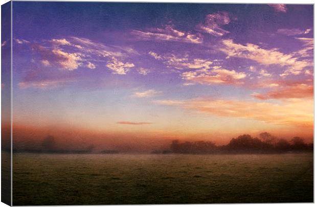 The softness of morning Canvas Print by Dawn Cox