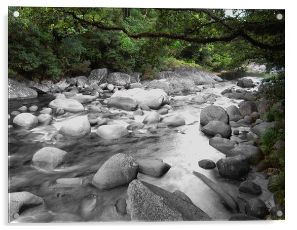 Daintree River Flow Acrylic by Luke Newman